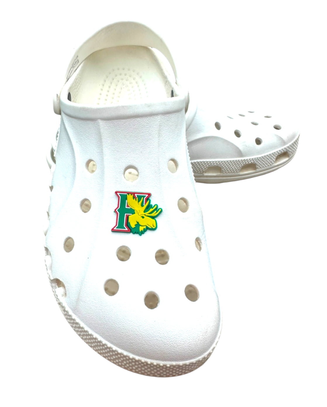 Custom Clog Charms